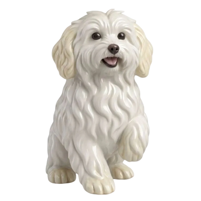 Mascota