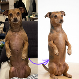 Buste portrait 3D personnalisé - Sculpture réaliste